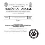 Secretaría de Medio Ambiente, en Cholula, primera dependencia «pet fliendly»