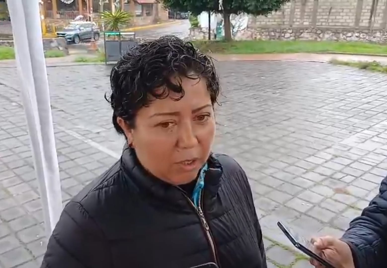 Cada día, hay seis reportes de maltrato animal en San Andrés Cholula; mayoría de casos en 4 zonas