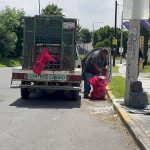 Levantan ocho cadáveres de animales de bulevar Olmeca en San Pedro Cholula