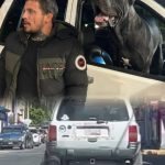 Acusan supuesto abandono animal en Cholula; dueño lo niega y dice que así entrena a su lomito