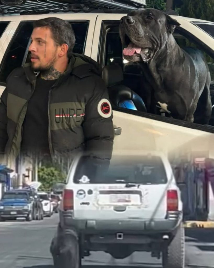 Acusan supuesto abandono animal en Cholula; dueño lo niega y dice que así entrena a su lomito