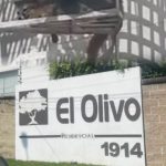 Difunden video de un zorro en un fraccionamiento de San Andrés Cholula; aseguran que su tenencia es legal