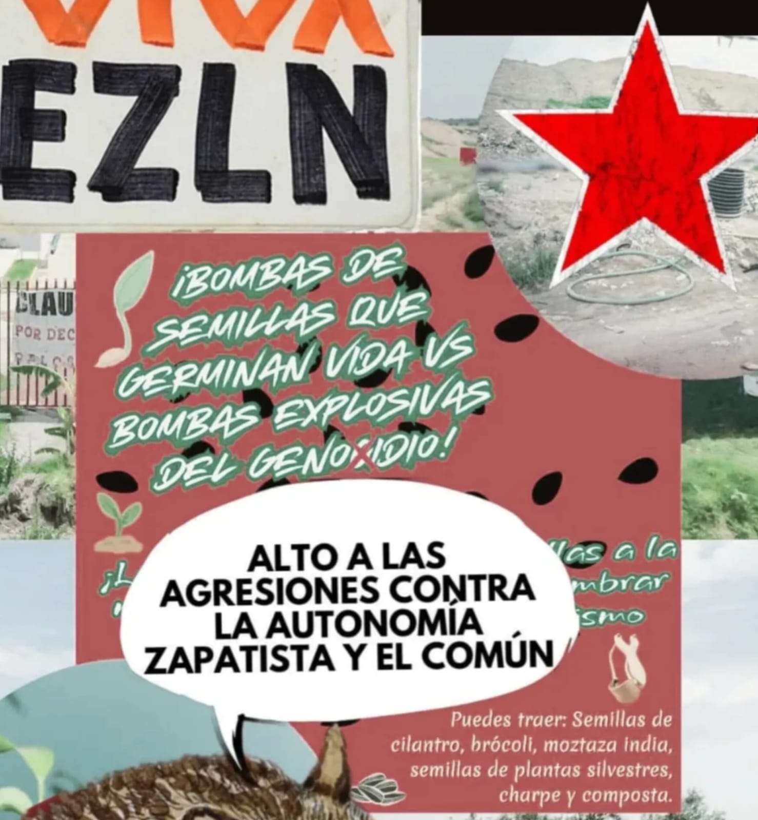 Lanzan «bombas» de semillas en exbasurero de Cholula para regenerar suelo contaminado por Pro-Faj