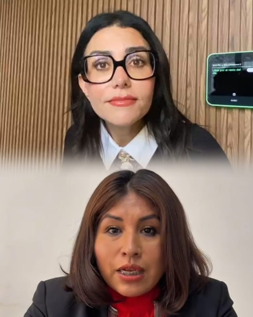 Hasta 3 años de prisión y cursos de salud mental, son las sanciones que propone Salvatori; Roxana Luna acusa criminalización