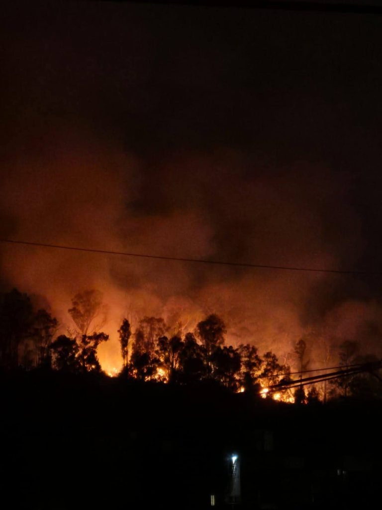 Activistas acusan al cartel inmobiliario de incendio en Cerro Zapotecas