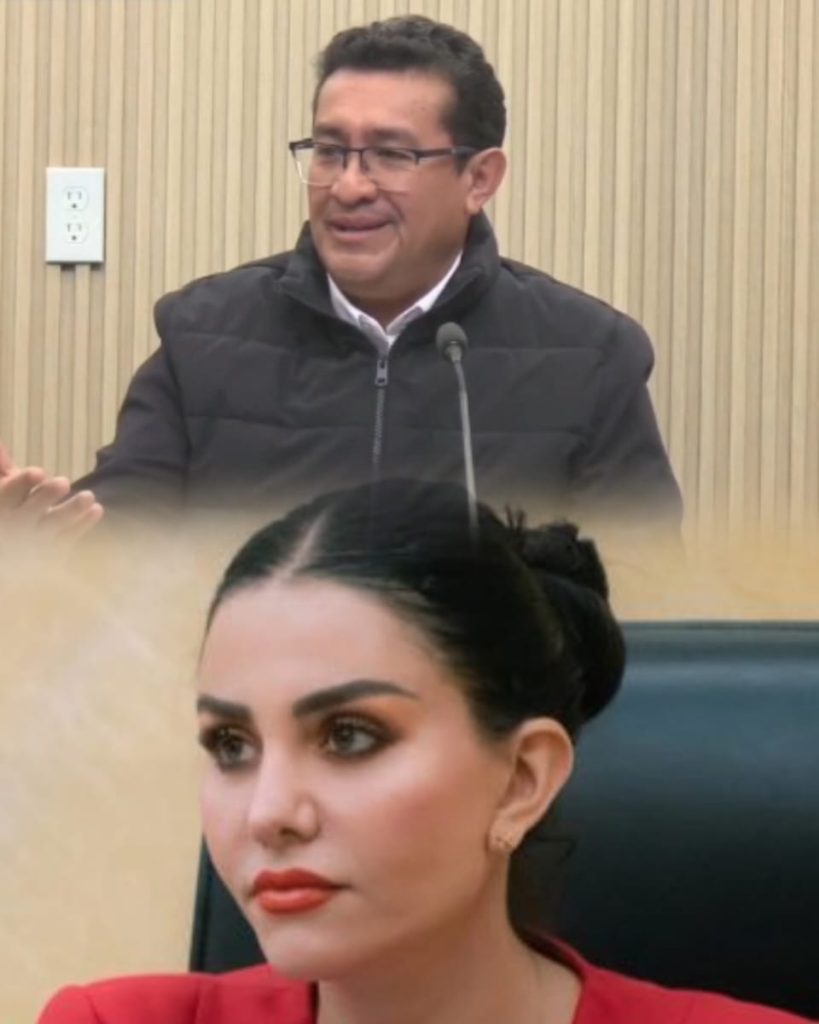 Ya no fue presentada en el Congreso iniciativa de Nayeli Salvatori para castigar autodesapariciones