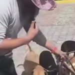 En Lomas de Angelópolis, acusan a cuidador de perros de presuntamente patear a un lomito