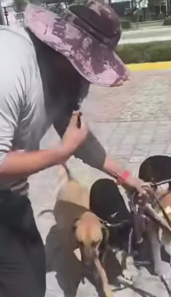 En Lomas de Angelópolis, acusan a cuidador de perros de presuntamente patear a un lomito